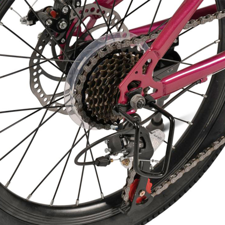 Bicicleta copii 20" CARPAT Polestar, cadru otel, manete secventiale, frane disc, 21 viteze, varsta 7-10 ani [8]