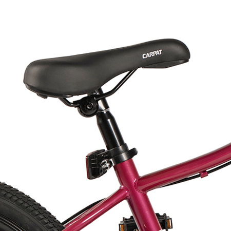 Bicicleta copii 20" CARPAT Polestar, cadru otel, manete secventiale, frane disc, 21 viteze, varsta 7-10 ani [9]