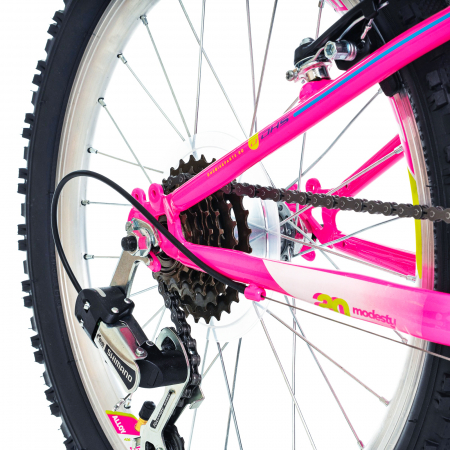 Bicicleta copii 20" DHS Modesty 20, cadru otel, frane V-Brake, 6 viteze, varsta 6-9 ani [8]