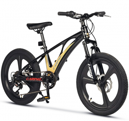 20" (varsta 7-10 ani) - Bicicleta copii 20" MTB-HT CARPAT C20343, jante magneziu, cadru aluminiu 8.5", 7 viteze, varsta 7-10 ani