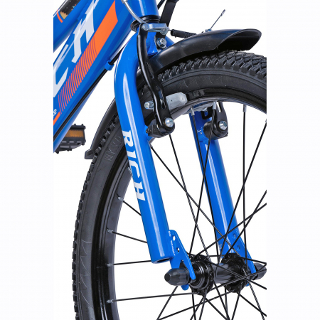Bicicleta copii 20" RICH Cosmos R2005, varsta 7-10 ani [3]
