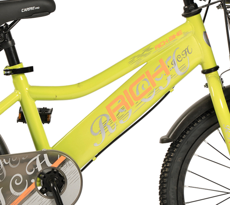 Bicicleta copii 20" RICH R2005, varsta 7-10 ani [9]