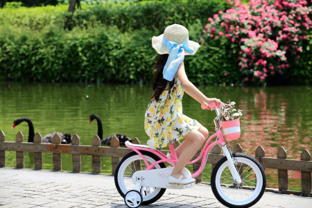 Bicicleta copii 14" ROYAL BABY Little Swan, roz, varsta 3-5 ani [11]