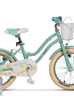 Bicicleta Copii 4-6 ani Carpat C16178A 16", Turcoaz [4]