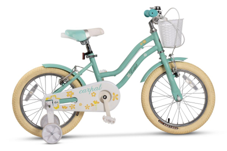 Carpat Sport - Bicicleta Copii 4-6 ani Carpat C16178A 16", Turcoaz