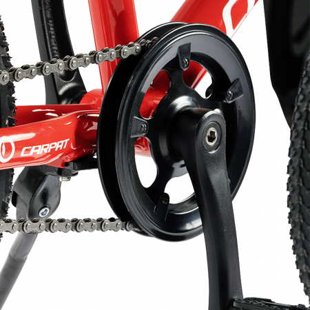 ﻿﻿Bicicleta copii 16" CARPAT Pro 16208C, cadru aluminiu, varsta 4-6 ani [6]