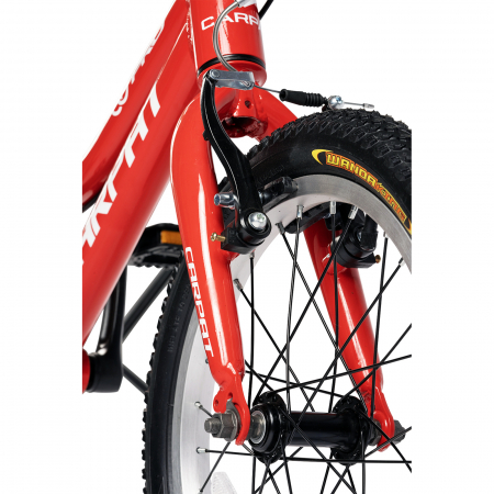 ﻿﻿Bicicleta copii 16" CARPAT Pro 16208C, cadru aluminiu, varsta 4-6 ani [3]