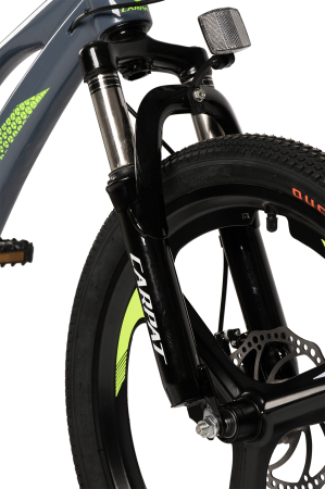 ﻿Bicicleta Copii MTB Carpat 20" C20343A, Gri/Verde [7]