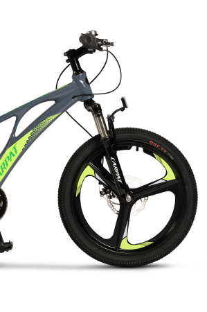 ﻿Bicicleta Copii MTB Carpat 20" C20343A, Gri/Verde [5]