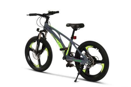 ﻿Bicicleta Copii MTB Carpat 20" C20343A, Gri/Verde [2]