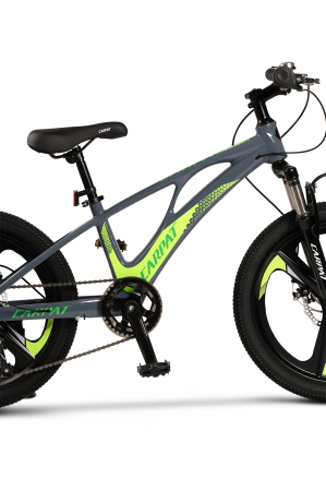 ﻿Bicicleta Copii MTB Carpat 20" C20343A, Gri/Verde [4]