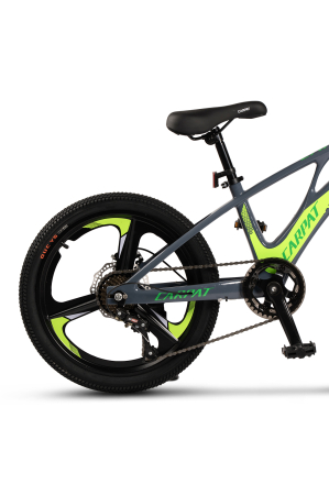 ﻿Bicicleta Copii MTB Carpat 20" C20343A, Gri/Verde [3]
