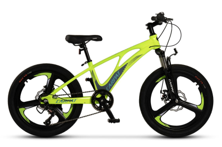 Carpat Sport - ﻿﻿Bicicleta Copii MTB Carpat 20" C20343A, Verde/Gri