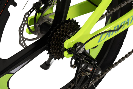 ﻿Bicicleta Copii MTB Carpat 20" C20343A, Verde/Gri [6]