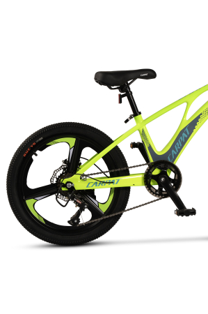 ﻿Bicicleta Copii MTB Carpat 20" C20343A, Verde/Gri [3]