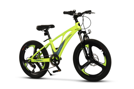 ﻿Bicicleta Copii MTB Carpat 20" C20343A, Verde/Gri [1]