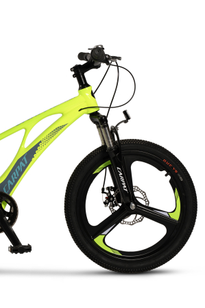 ﻿Bicicleta Copii MTB Carpat 20" C20343A, Verde/Gri [5]