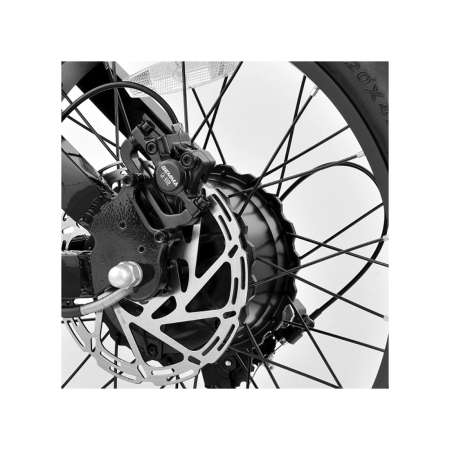 Bicicleta electrica Fat-Bike Viketory 20 Albastru/Alb [1]