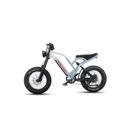 Bicicleta electrica Fat-Bike Viketory 20 Albastru/Alb [5]