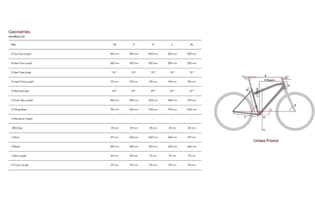 Bicicleta electrica MTB-HT 27.5" RAYMON HardRay E3.0, cadru aluminiu, manete secventiale, frane hidraulice, 9 viteze [4]