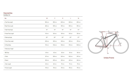 Bicicleta electrica MTB-HT 29" RAYMON HardRay E3.0, cadru aluminiu , manete secventiale, frane hidraulice, 9 viteze [4]