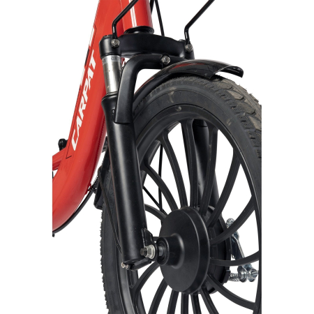 Bicicleta electrica tip scooter 20" CARPAT E-Delivery 20314E, cadru otel 16", frane tambur/disc, autonomie 60-80 km [3]