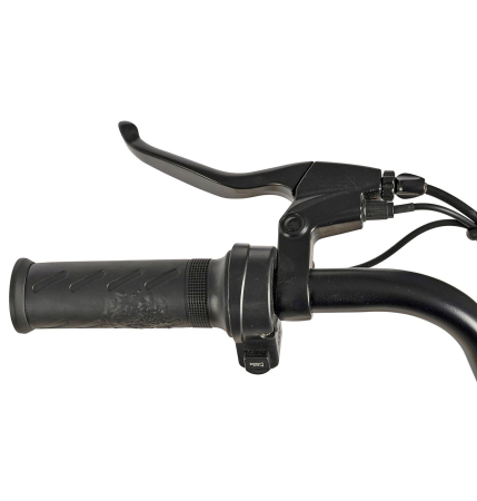 Bicicleta electrica tip scooter 20" CARPAT E-Delivery 20314E, cadru otel 16", frane tambur/disc, autonomie 60-80 km [5]