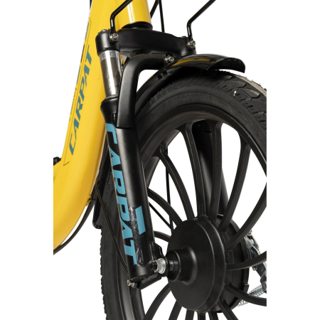 Bicicleta electrica tip scooter 20" CARPAT E-Delivery 20314E, cadru otel 16", frane tambur/disc, autonomie 60-80 km [3]