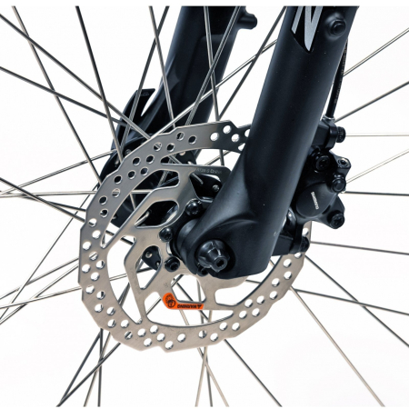 Bicicleta electrica Urban 28" DEVRON 28162, cadru aluminiu 17.5", manete secventiale, frane hidraulice, 16 viteze, gri/albastru [2]