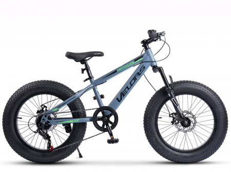 Bicicleta Fat Bike 20" VELORS Hercules, cadru otel 13.5", manete RevoShift, frane disc, 7 viteze [1]