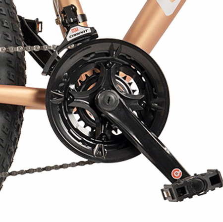 Bicicleta Fat Bike 26" VELORS Mars, cadru otel 17", manete RevoShift, frane disc, 21 viteze [6]