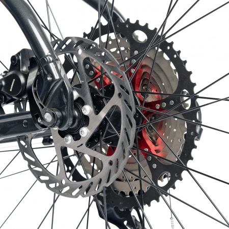 Bicicleta cross-fitness CARPAT Pro Lady C29272H, cadru aluminiu 18", frane hidraulice,11 viteze [8]