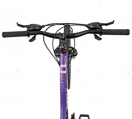 Bicicleta MTB-HT 24" BR Tsunami Pro2008, cadru otel 14", manete secventiale, frane disc, 21 viteze, violet [6]