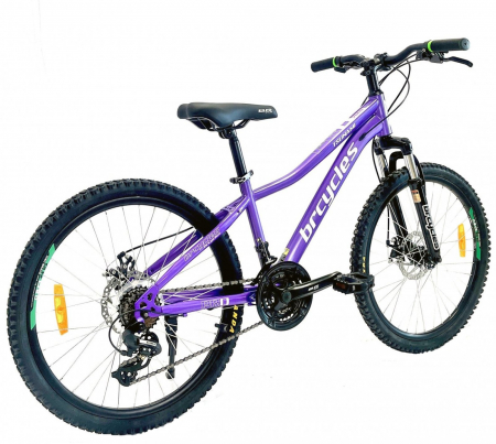 Bicicleta MTB-HT 24" BR Tsunami Pro2008, cadru otel 14", manete secventiale, frane disc, 21 viteze, violet [2]