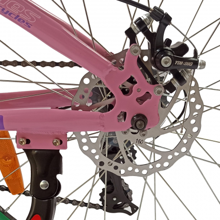 Bicicleta MTB-HT 24" BR Tsunami Pro2008, cadru otel 14", manete secventiale, frane disc, 21 viteze, violet [3]