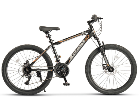 Bicicleta MTB-HT 24" CARPAT XR-1, cadru otel 15", manete RevoShift, frane disc, 21 viteze [1]