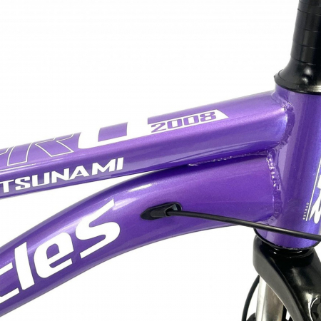 Bicicleta MTB-HT 26" BR Tsunami Pro2008 cadru otel, manete secventiale, frane disc, 21 viteze [10]