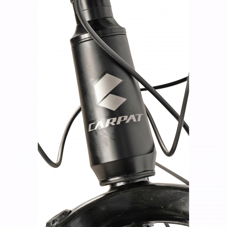 Bicicleta MTB-HT 29" CARPAT Spartan 2.9, cadru aluminiu 18", manete revoshift, frane disc, 21 viteze [10]