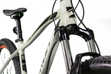 Bicicleta MTB-HT 29" DEVRON Riddle RM1.9, cadru aluminiu, manete secventiale, frane hidraulice, 24 viteze [3]