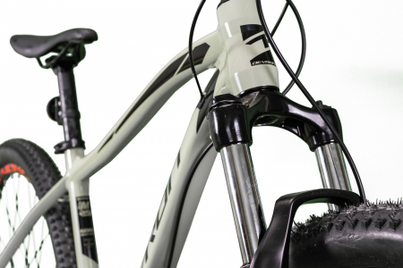 Bicicleta MTB-HT 29" DEVRON Riddle RM2.9, cadru aluminiu, manete secventiale, frane hidraulice, 18 viteze [2]