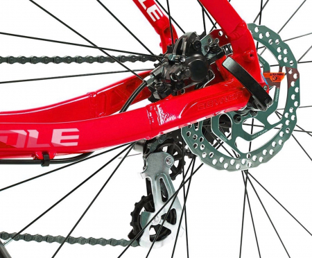 Bicicleta MTB-HT 29" DEVRON Riddle RW1.9, cadru aluminiu, manete secventiale, frane hidraulice, 16 viteze [5]