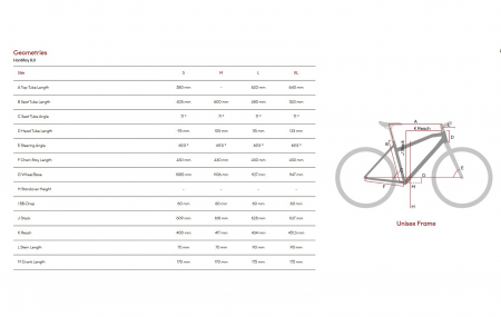 Bicicleta MTB-HT 29" RAYMON HardRay 8.0, cadru carbon 20", manete secventiale, frane hidraulice, 12 viteze, negru [3]
