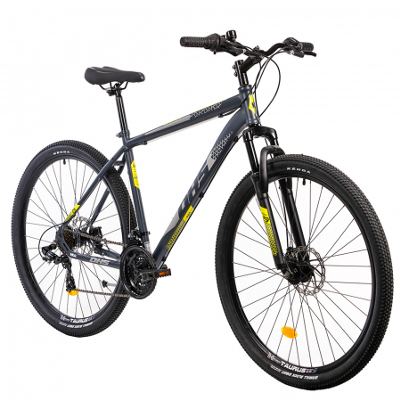 Bicicleta MTB-HT 29" TERRANA 2905, cadru otel 19.5", frane disc, 21 viteze, gri [1]