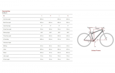 Bicicleta MTB-HT 29" RAYMON HardRay 7.0, cadru carbon 18.5", manete secventiale, frane hidraulice, 12 viteze, rosu [3]