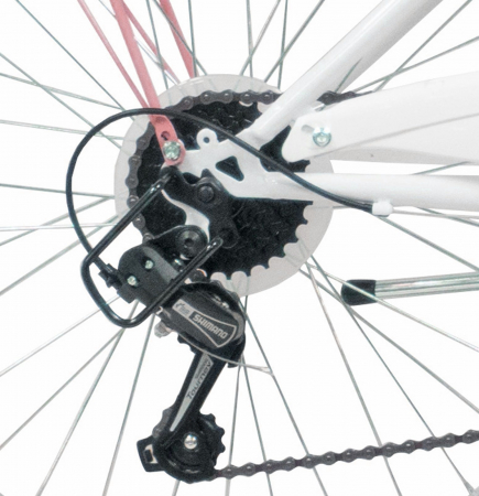 Bicicleta oras 24" BOTTARI Parma, cadru otel 17", frane V-Brake, 6 viteze [3]