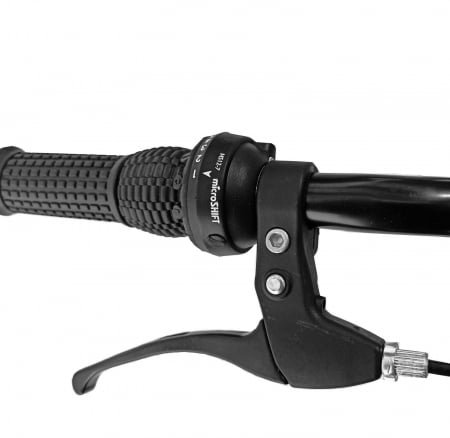 Bicicleta oras 24" RDB Matița, cadru otel 15", frane Disc/V-Brake, 21 viteze, roz [1]