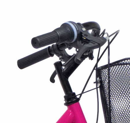 Bicicleta oras 28" BOTTARI Pisa W, cadru otel 18", frane V-Brake, 6 viteze, roz [1]