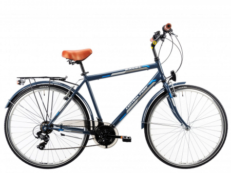 BICICLETE ORAS-TREKKING - Bicicleta oras 28" DHS Central Park 2853, cadru otel 21", frane V-Brake, 6 viteze, albastru