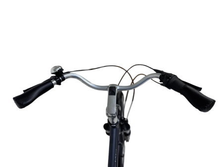 Bicicleta Oras Kieler LD - 28 Inch, M, Gri [3]