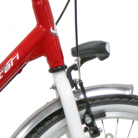 Bicicleta pliabila 20" BOTTARI Roma, cadru otel, frane V-Brake, single speed [4]